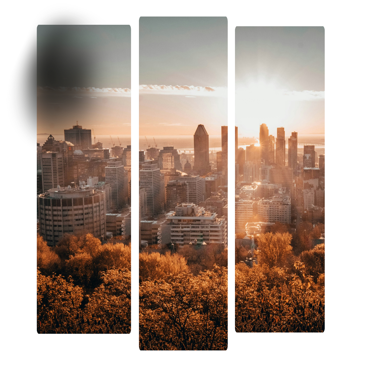 MBP Intelligence city skyline